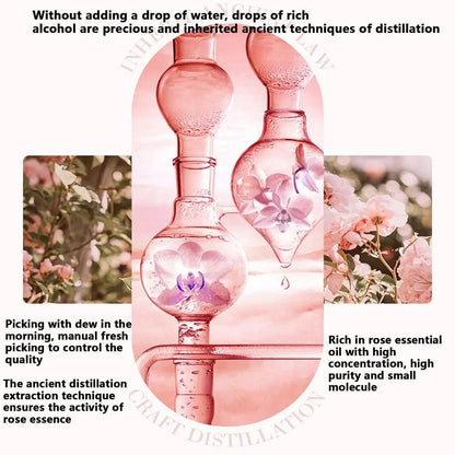 Face Rose Oil Facial Essence Rejuvenating Essence Oil For Deep Nourishing
